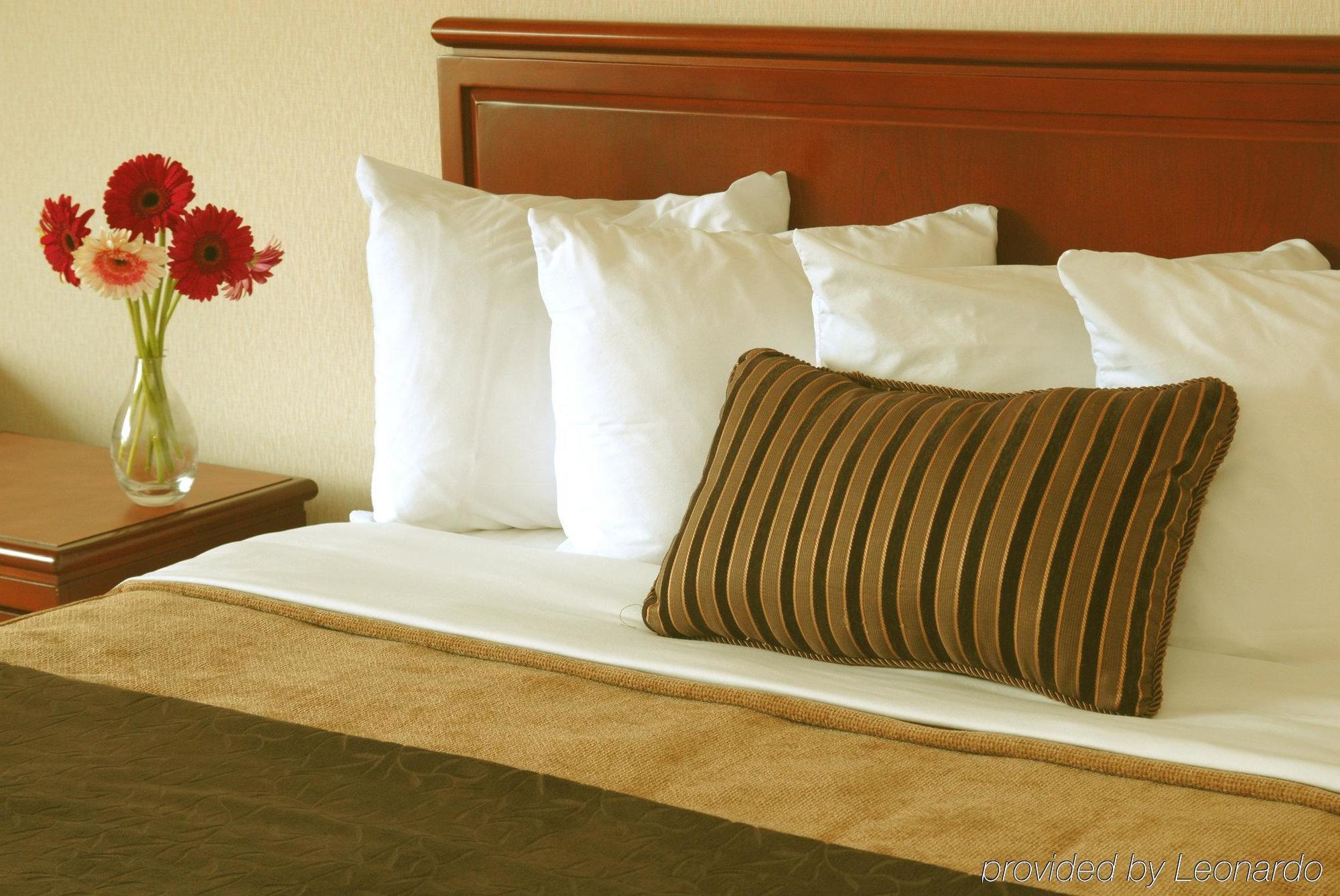 Doubletree By Hilton St. John'S Harbourview Hotel Værelse billede